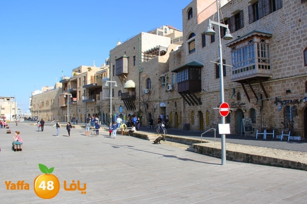 mina2 yaffaj343 (11).JPG